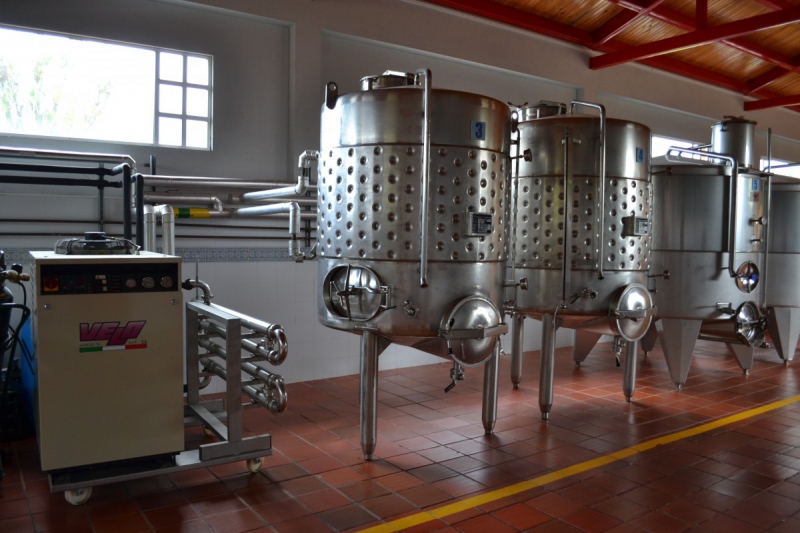 cave-CASTILLON-min_wine_production_cantine_winery_drink_alcohol_vine_beverage-902036